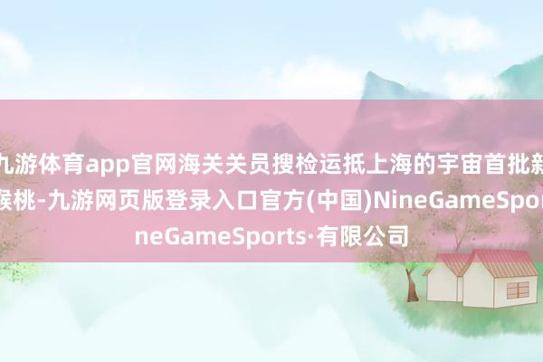 九游体育app官网海关关员搜检运抵上海的宇宙首批新西兰软枣猕猴桃-九游网页版登录入口官方(中国)NineGameSports·有限公司